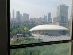 -海豚湾高端月子会所(黄浦店)