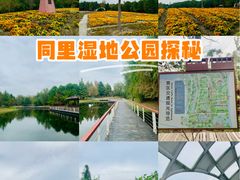 -同里国家湿地公园