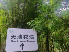 -广州市石门国家森林公园