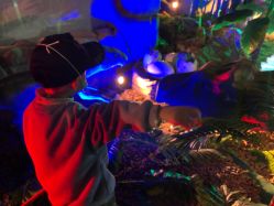 -恐龙探索乐园(磁器口店)