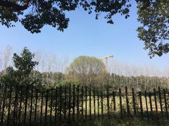 -江南大学-第一食堂(江南苑)