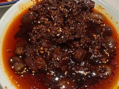 -院8里·小聚园老川菜(九眼桥店)