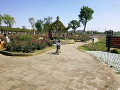 -武汉紫薇都市田园