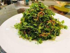 芹菜叶-大宝全猪馆(南京路店)