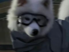 -绿草地·湘菜(芙蓉天街店)