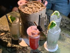 -Long Bar(莱佛士酒店)