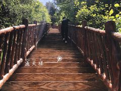 -塔云山