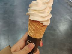 -蜜雪冰城(泰安金街北店)