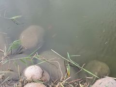 -廊坊文化艺术中心