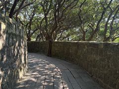 -普陀山慧济禅寺