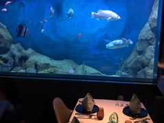 -渔火·特色餐厅(佘山世茂洲际酒店)