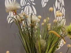 -如轩·海鲜砂锅粥·潮汕菜(小榄店)
