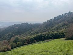 -敬亭山风景名胜区