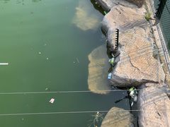 -太原动物园