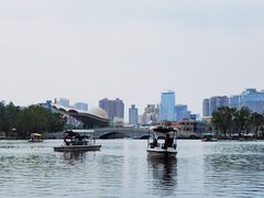 -朝阳公园游乐园