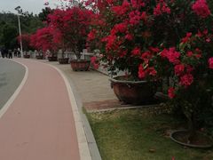 -仙岳公园