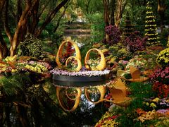 -上海共青森林公园