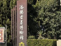 -洛阳古墓博物馆