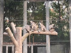 -上海野生动物园