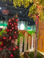 -幻贝家儿童乐园(武汉永旺梦乐城店)