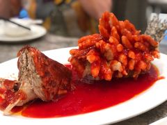 松鼠桂鱼-亢龙太子酒轩·花园店
