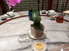 -山水茶艺馆·点心粤菜·30年老字号