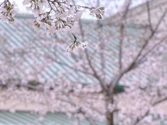 -迪士尼小镇