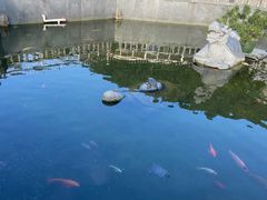-凤凰山公园-龙王古庙
