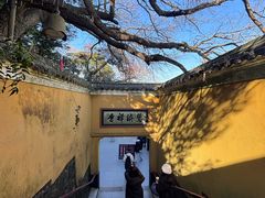 -普陀山慧济禅寺