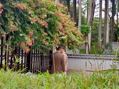 -深圳国际园林花卉博览园