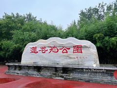 -莲花池公园