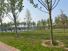 -瀛海足球主题公园