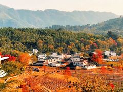 -塔川景区