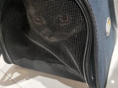 -荔康动物医院(康王北路店)