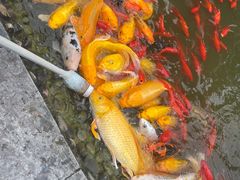 -成飞公园