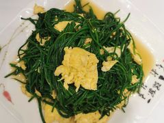 -靖远尕六美味羊羔肉