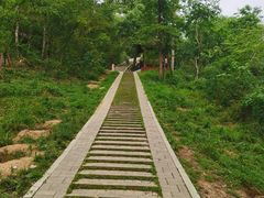 -青龙山国家森林公园