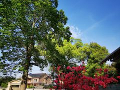 -杭州六谷生态休闲农庄有限公司