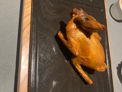 -大鸽饭(体育西路店)