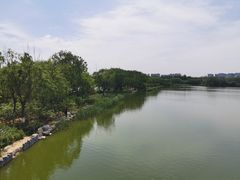 -大兴滨河森林公园