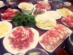 手切羊肉-鑫龙火锅城(阳光新路店)