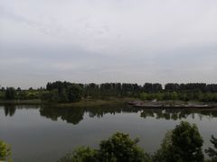 -东郊湿地公园