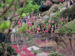 -桃花涧
