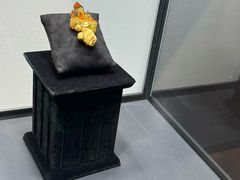 -中国地质博物馆