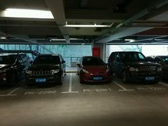 -虹桥综合交通枢纽-P6停车库