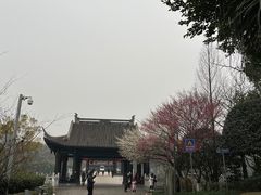 -重庆园博园