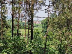 -青龙山国家森林公园