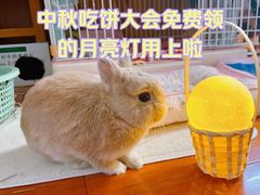 -金茂览秀城