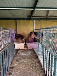 -小蜜蜂农场(凯德七宝购物广场店)