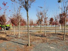 停车场-南京枫彩漫城